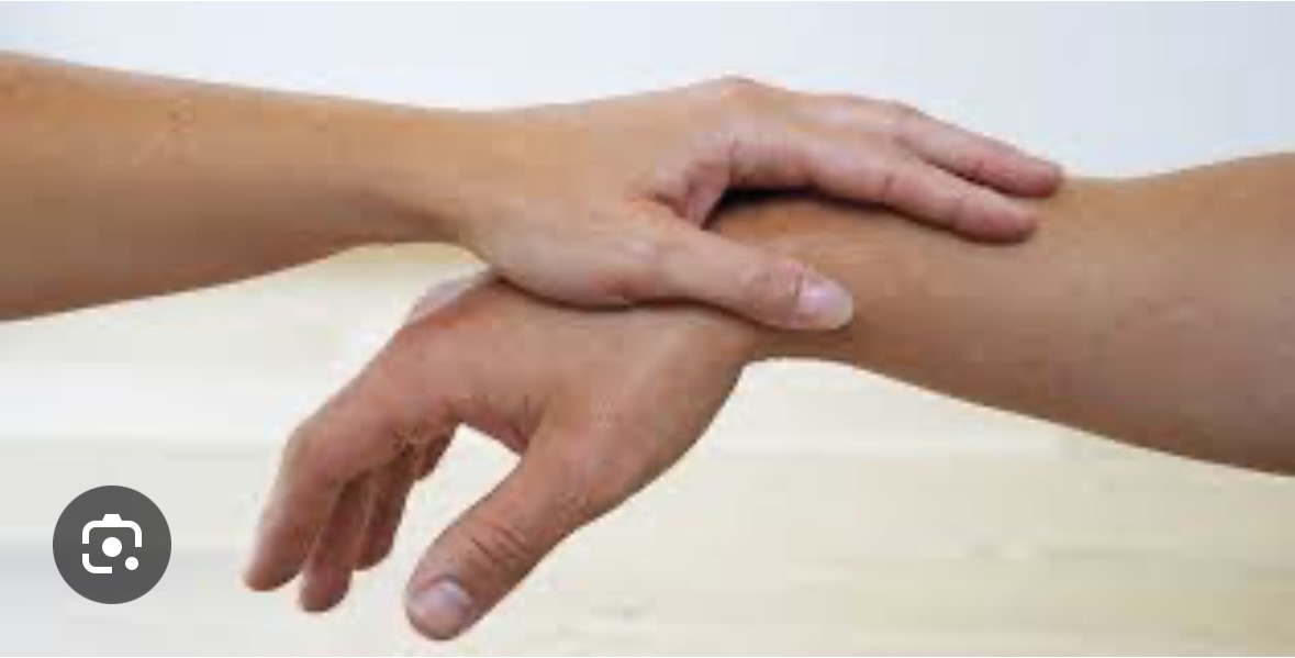 Ariane Roppe Kinésiologue-kinésiologie sur Namur - Daussoulx -Vezin - Emines - La Bruyère - Eghezée - Bouge - Champion