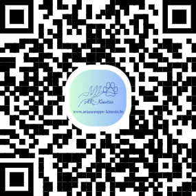 Ariane roppe Kinesiologue Namur Daussoulx